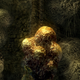 Illustration for article titled Oh Hey Look, More Incredible emDark Souls/em Shots